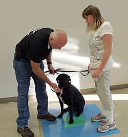 dog training at Sertoma