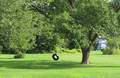 Tire swing at Winnebago Park clean up our parks