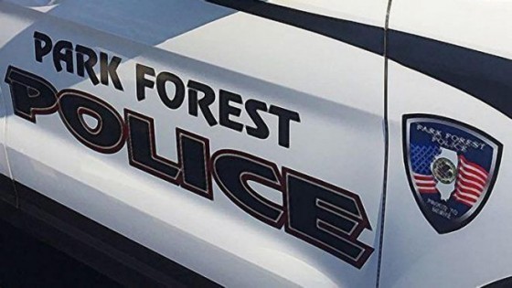 park forest police squad car door pfpd dui