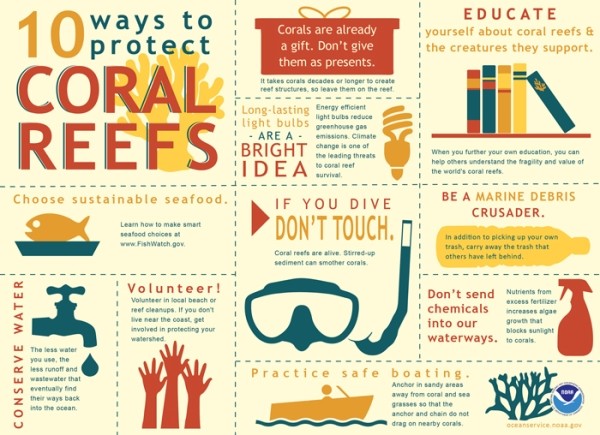coral reefs