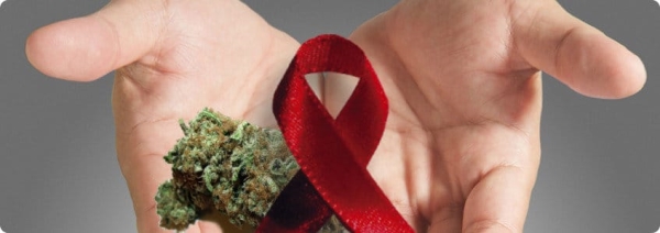 cannabis and HIV