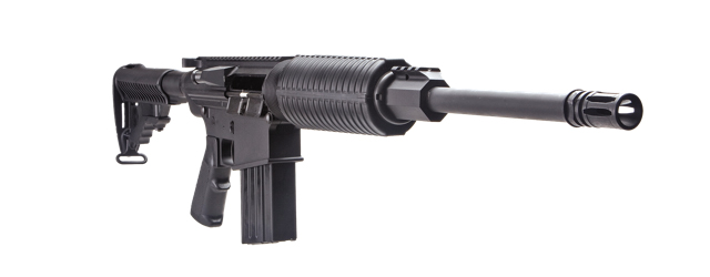 DPMS Oracle AR-15 semi-automatic weapon