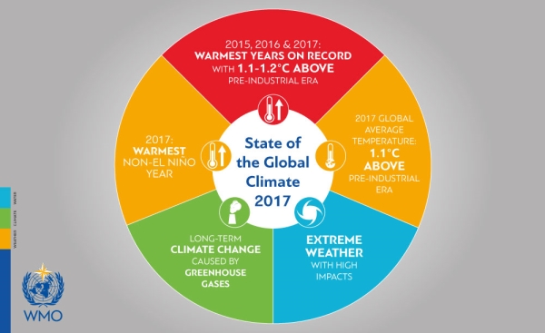 2017 temperature graph