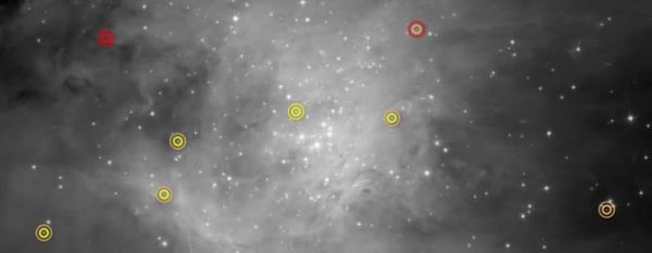 brown dwarfs sprinkled among newborn stars, NASA, STScI
