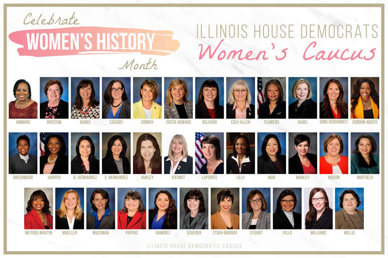 Illinois House Democratic Women's Caucus March 31 2020