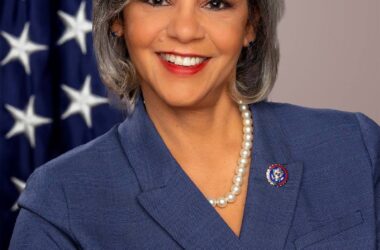 Kelly update, Congresswoman Robin Kelly before an American flag