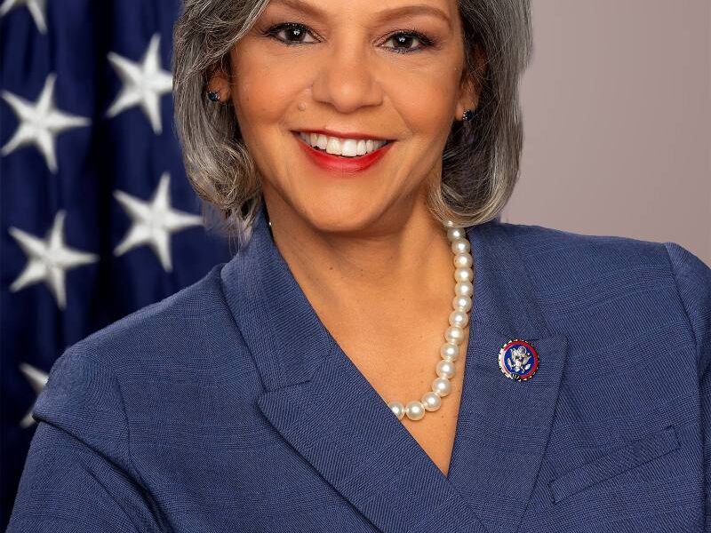 Kelly update, Congresswoman Robin Kelly before an American flag