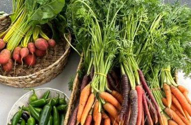 state glitch, Produce Main Street Market