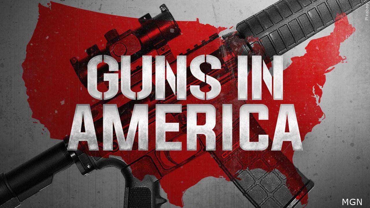 ATF Rule, Guns in America