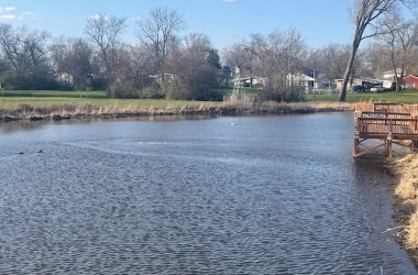 photo of a pond with a fishing pier with houses in the background