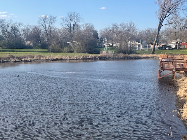 photo of a pond with a fishing pier with houses in the background
