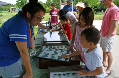 Pollinator Party, Adult and children at an outdoor table.