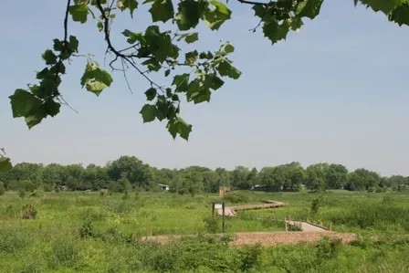 open wetlands with a wooden path running through it