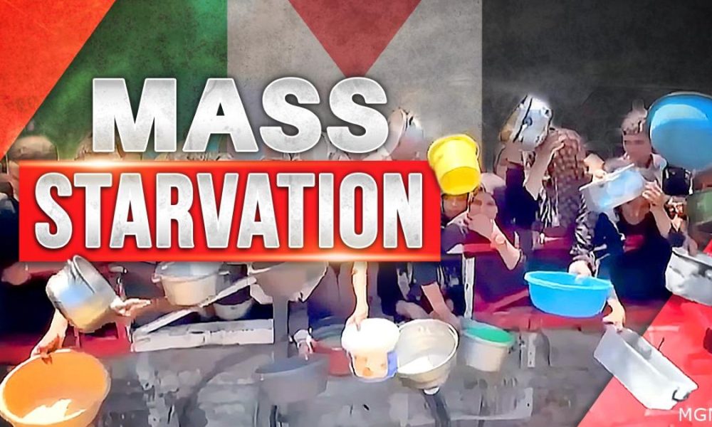 humanitarian crisis, mass starvation in Gaza, Palestine