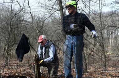 Volunteer Morning