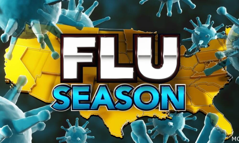 flu activity, flu season