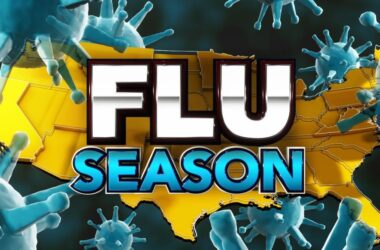 flu activity, flu season