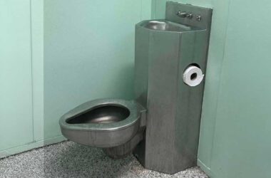 DUI enforcement, lockup toilet throne
