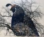 Plum Creek Art Exhibit Offers Whimsical Look at America’s State Birds