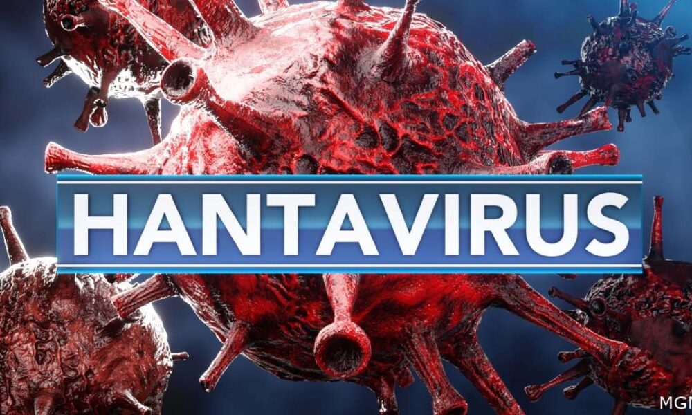 Hantavirus