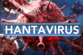 Hantavirus