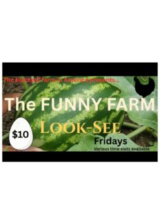 The FUNNY FARM Look-See