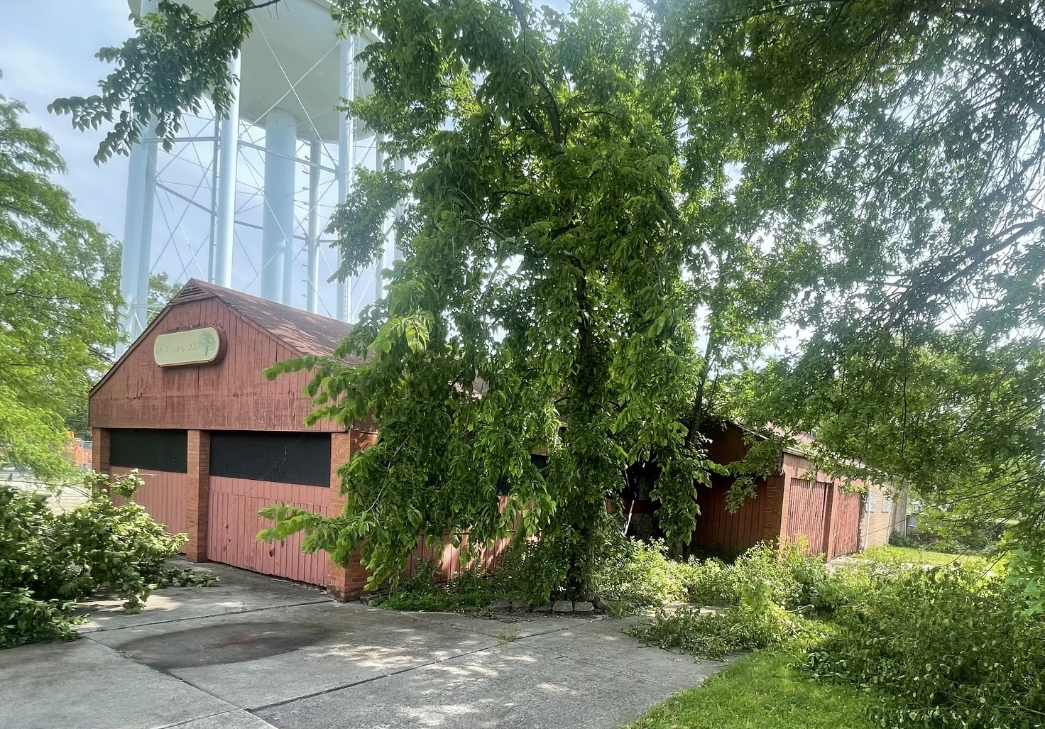 weathered wooden building overgrown with trees